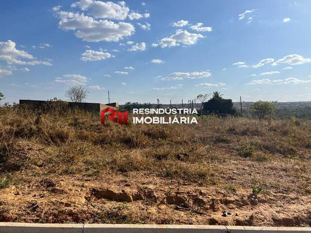 #2110 - Terreno para Venda em Aparecida de Goiânia - GO - 1