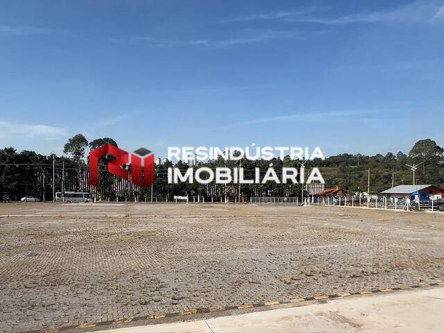 Terreno para Locação em Embu das Artes - 5