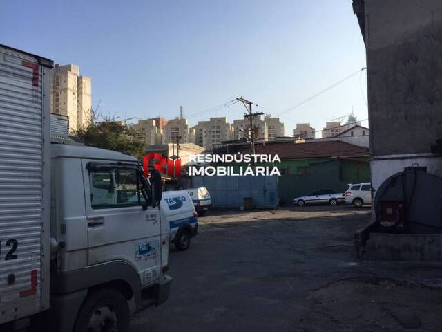Galpão para Locação em São Paulo - 4
