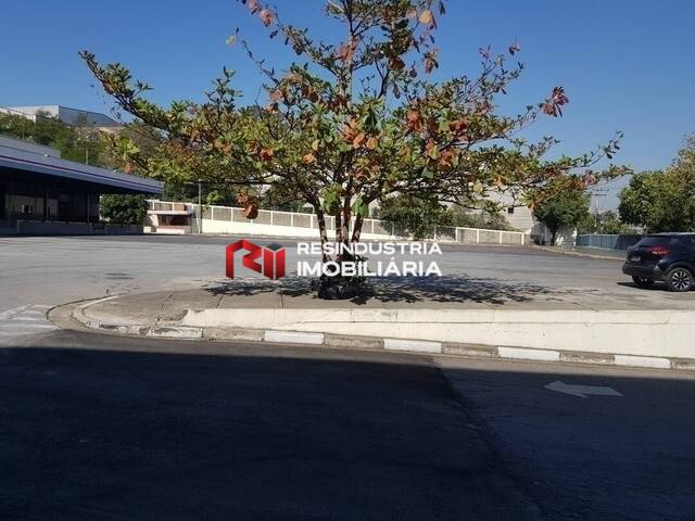 Galpão para Locação em Osasco - 3