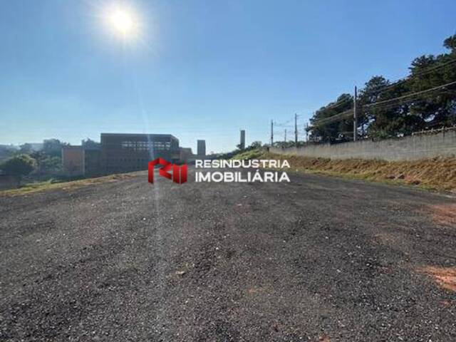 #784 - Terreno para Locação em Barueri - SP - 3