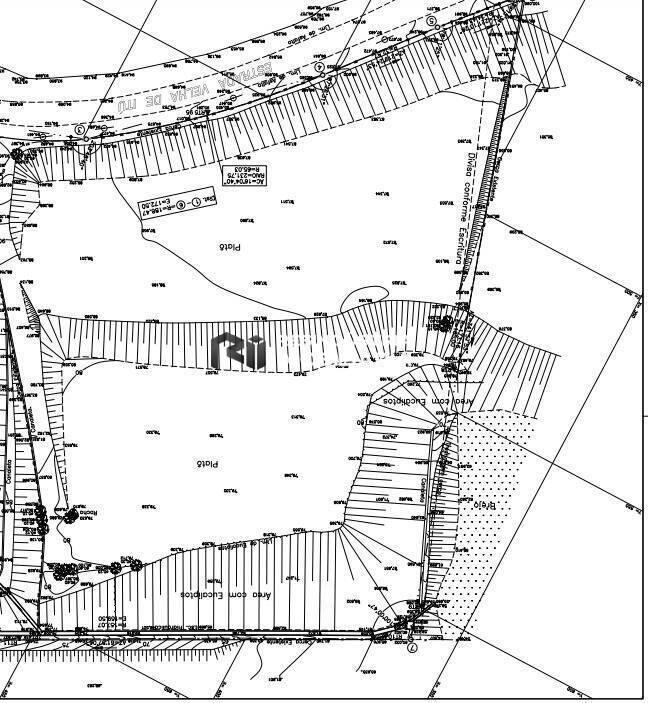 Prédio Inteiro, 16000 m² - Foto 7