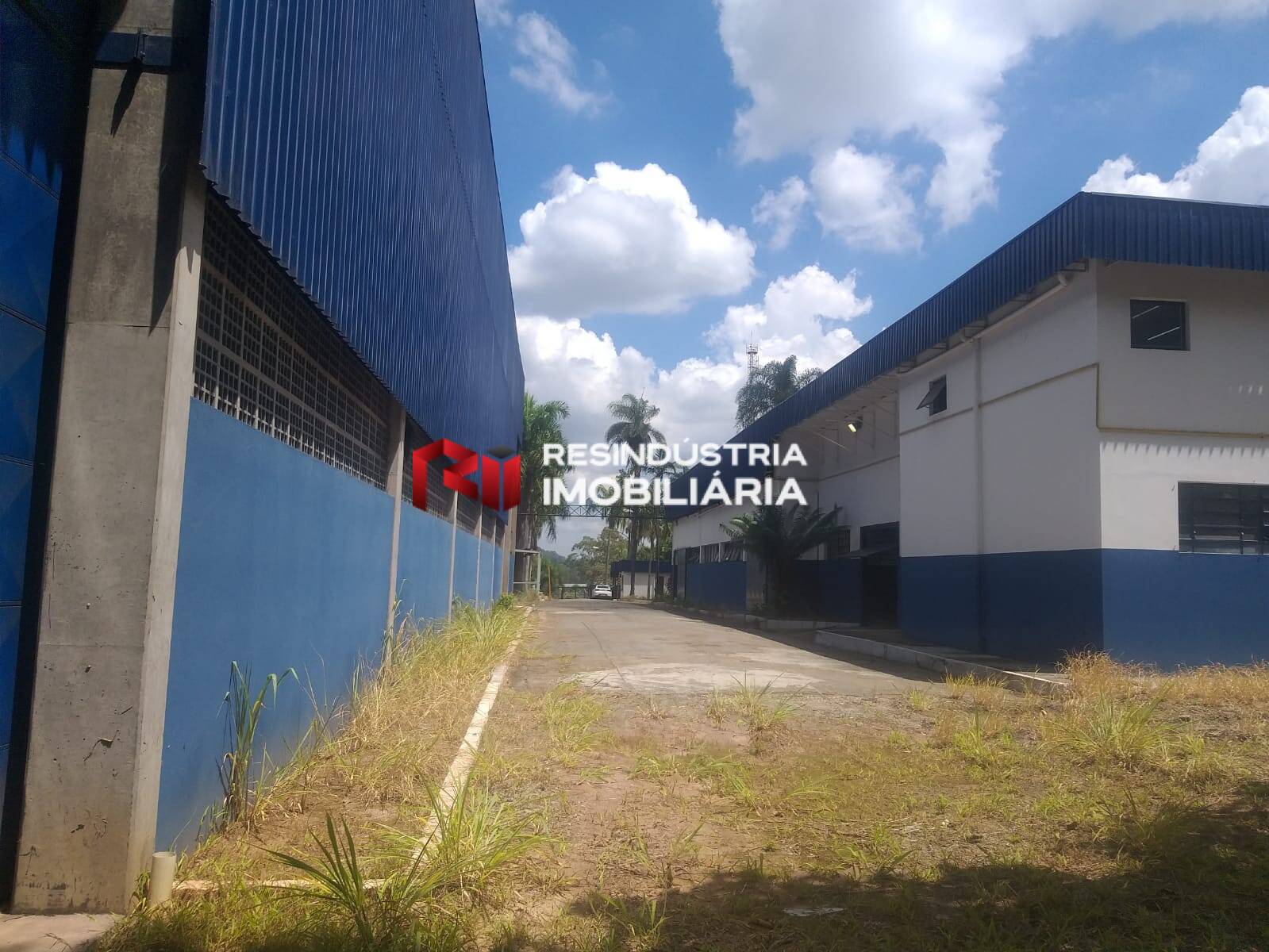Depósito-Galpão, 6200 m² - Foto 12