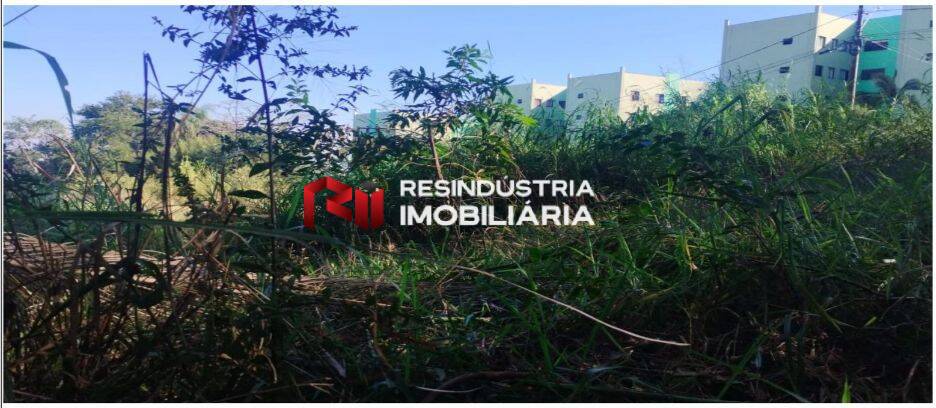 Terreno, 1 hectares - Foto 12