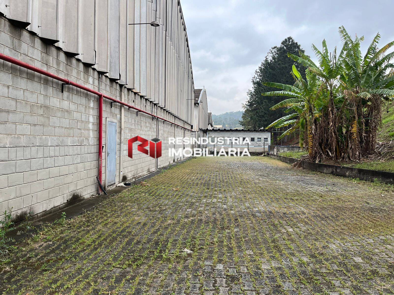 Depósito-Galpão, 3889 m² - Foto 5