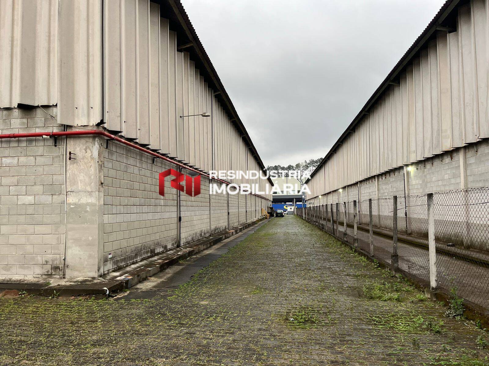 Depósito-Galpão, 3889 m² - Foto 6