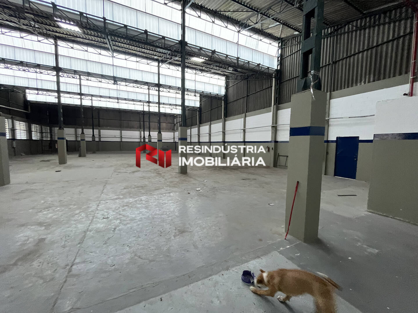 Depósito-Galpão, 1600 m² - Foto 8